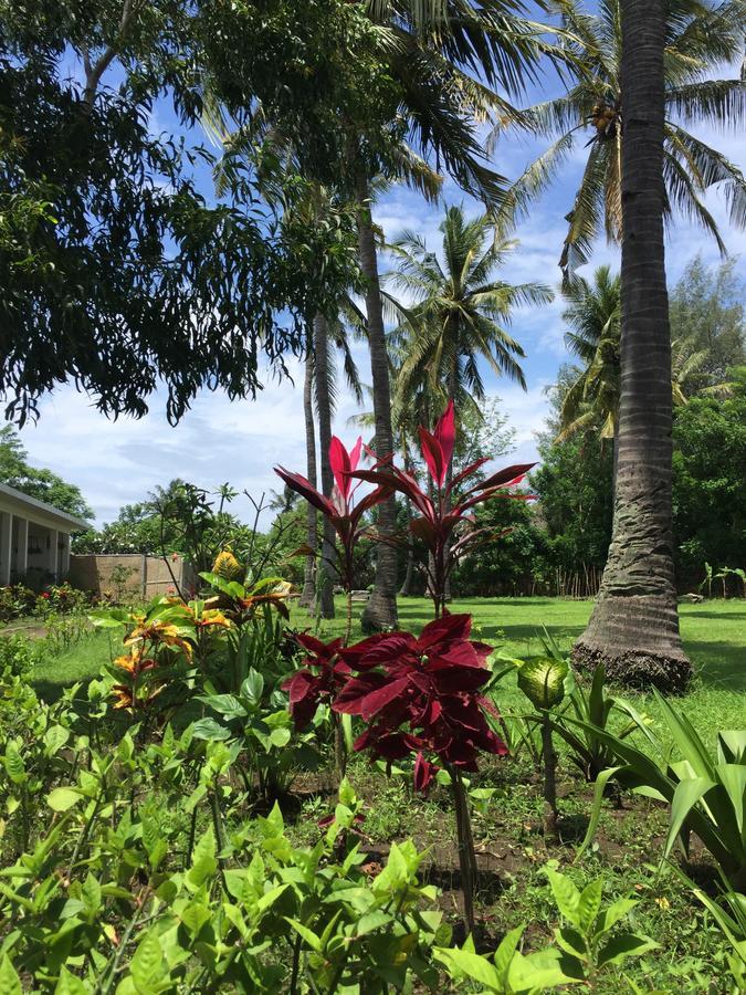 Amigos Bungalows Gili Meno Kültér fotó