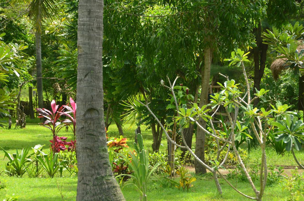 Amigos Bungalows Gili Meno Kültér fotó
